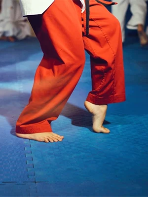 Tatami Puzzle